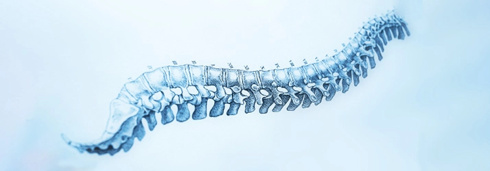 Spinal Decompression Rocky River OH Spine Drawing